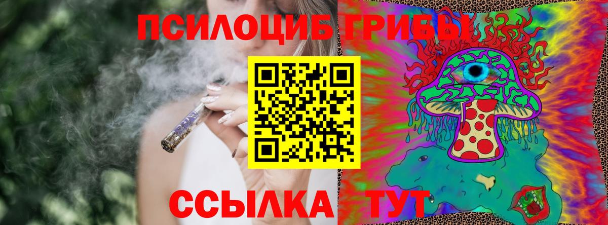 Галлюциногенные грибы GOLDEN TEACHER  Вход с VPN  Вязники 